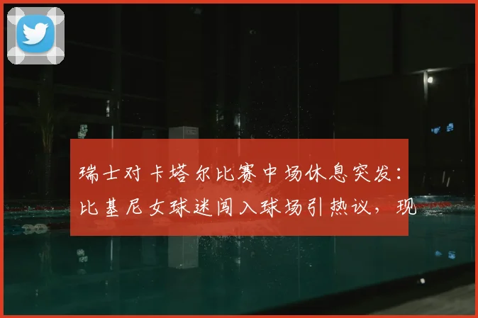 瑞士对卡塔尔比赛中场休息突发:比基尼女球迷闯入球场引热议,现场目击者还原详细经过
