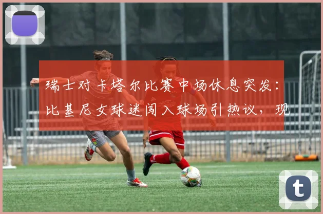 瑞士对卡塔尔比赛中场休息突发：比基尼女球迷闯入球场引热议，现场目击者还原详细经过